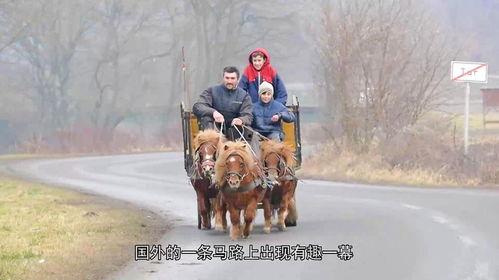 小马拉车在线视频,挑战与成长的故事